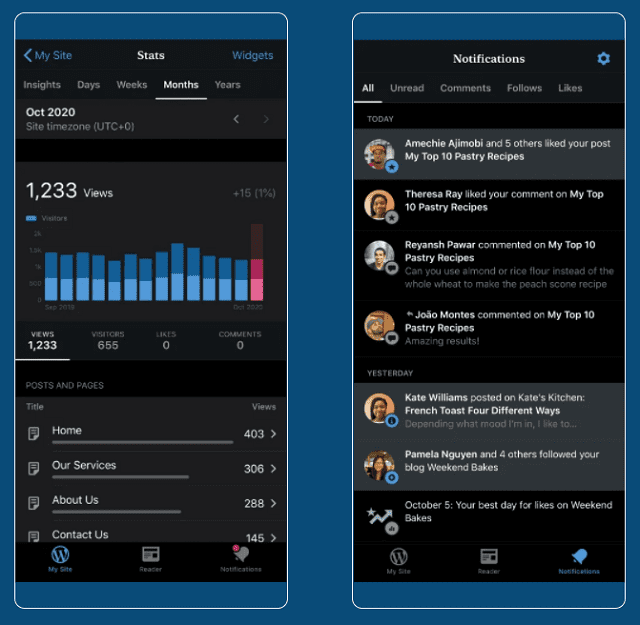 Mobile view of WordPress CMS stats and dashboard